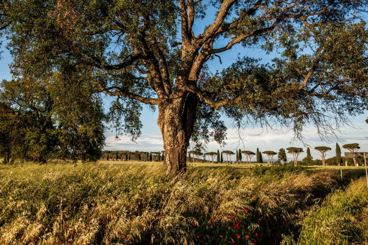 Refugium Countryhouse Podere Cernaia Εξωτερικό φωτογραφία